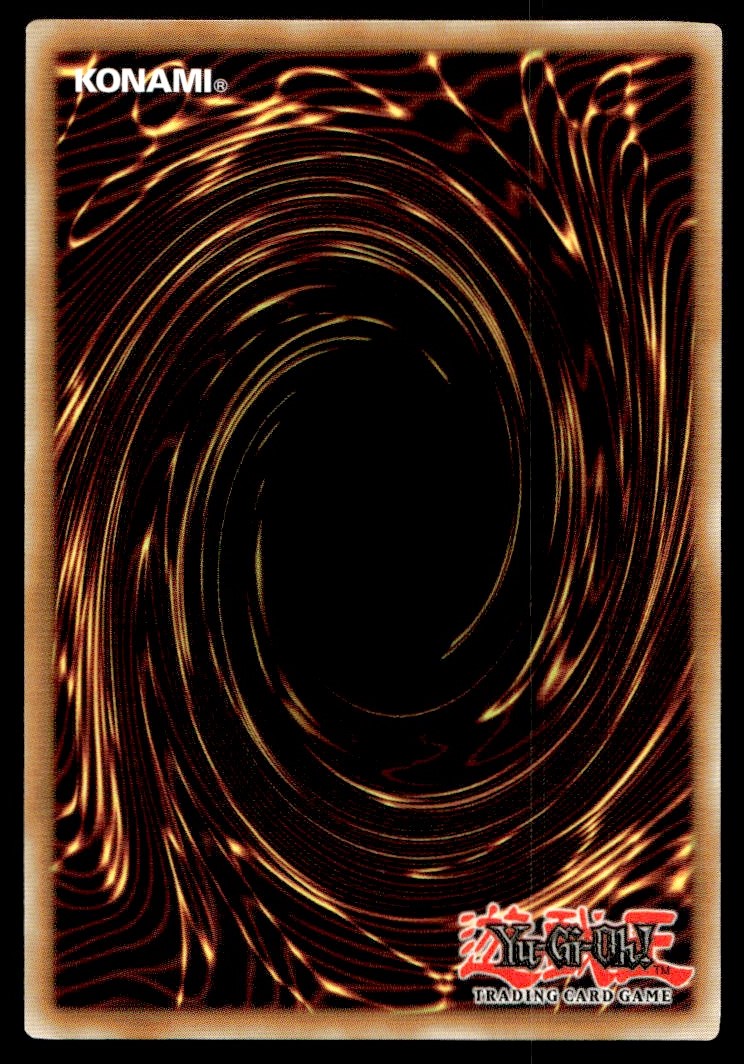 1996 Yu-Gi-Oh! 1st edition D.D. Survivor #TLM-EN023 card back image