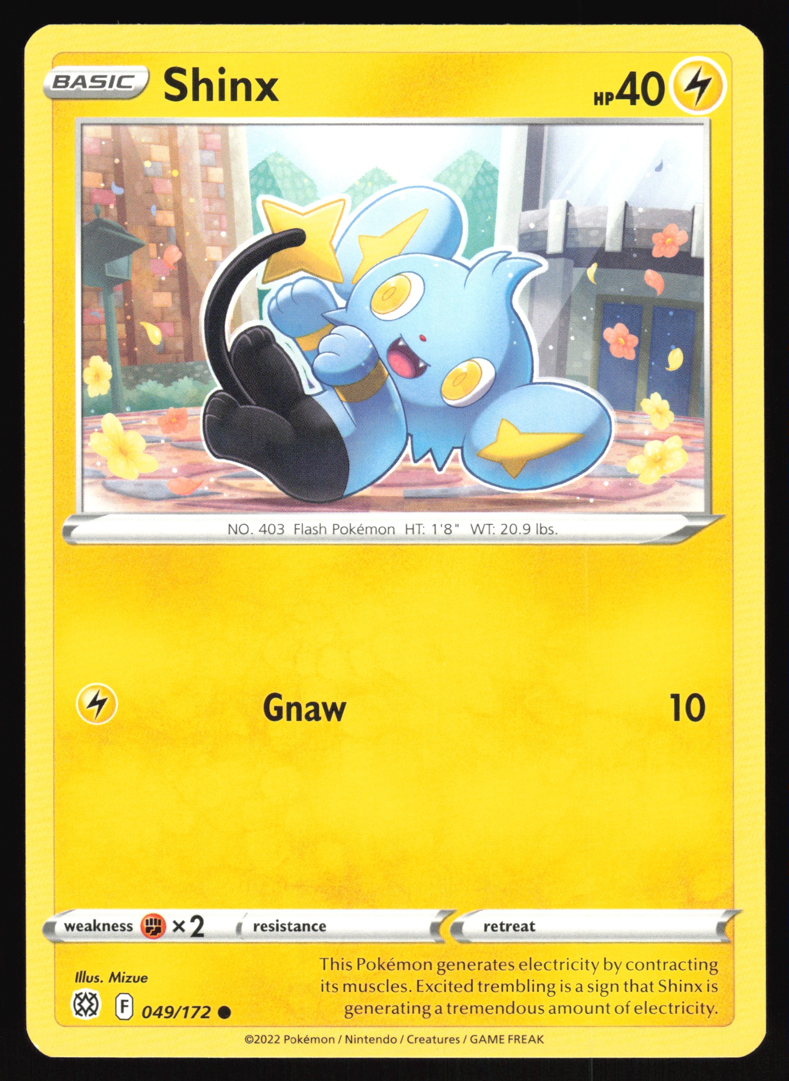 2022 Pokemon TCG Shinx 049/172 Brilliant Stars Common | eBay