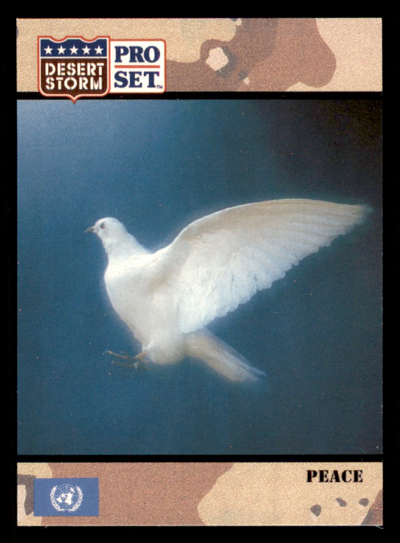 Bild 251 von 251