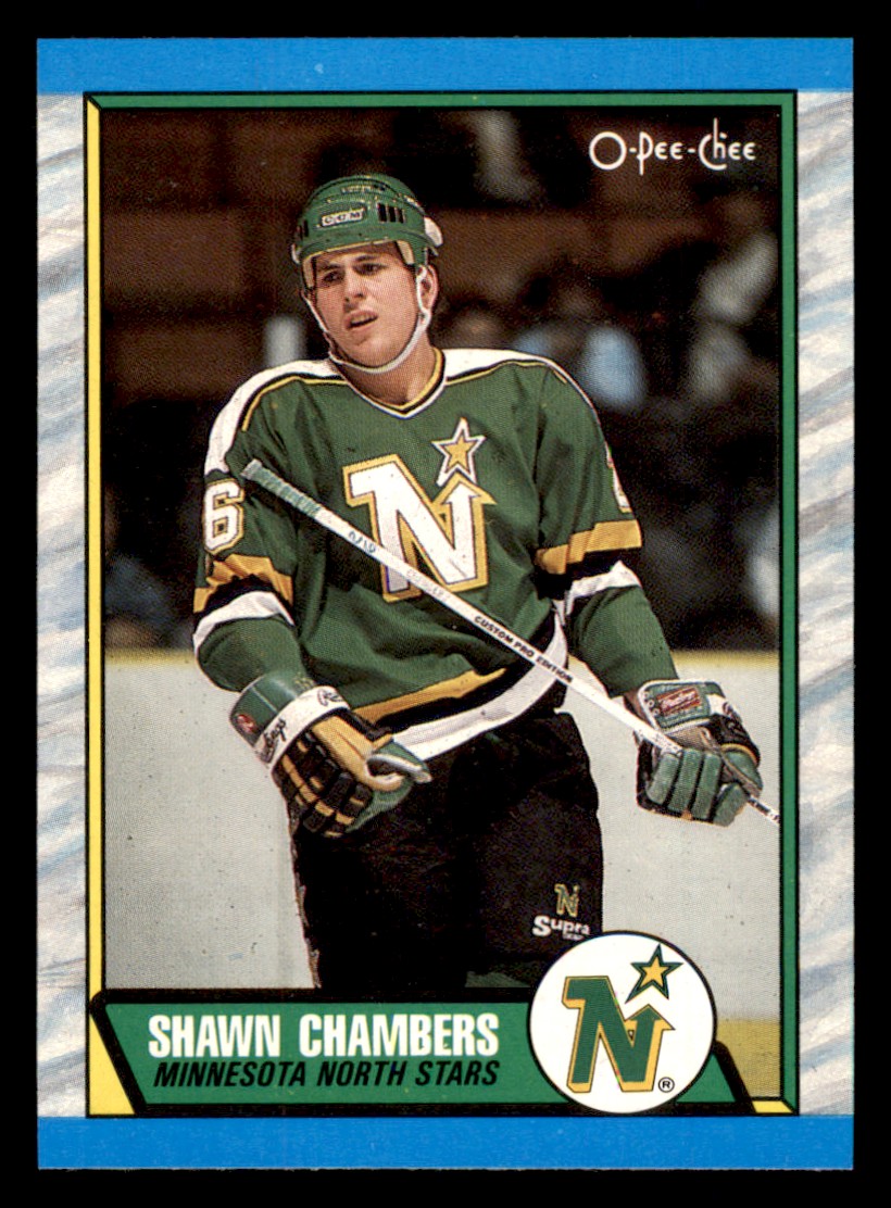 1989-90 O-Pee-Chee Hockey #1-200 - SIE WÄHLEN AUS - Komplettieren Sie Ihr Set - Bild 143 von 201