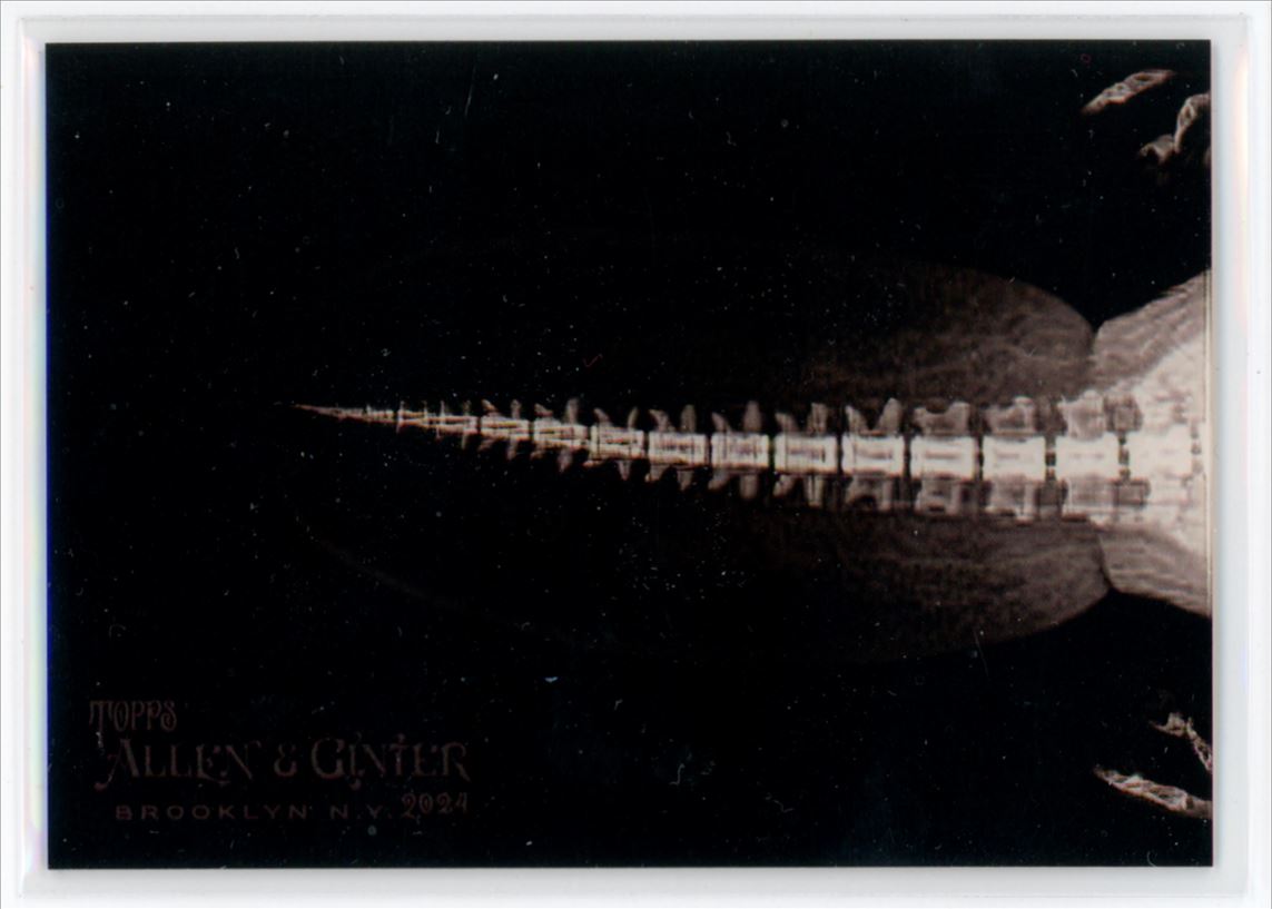 2024 Topps Allen & Ginter Oregon Zoo X-Ray Beaver Tail #XR-3 | eBay