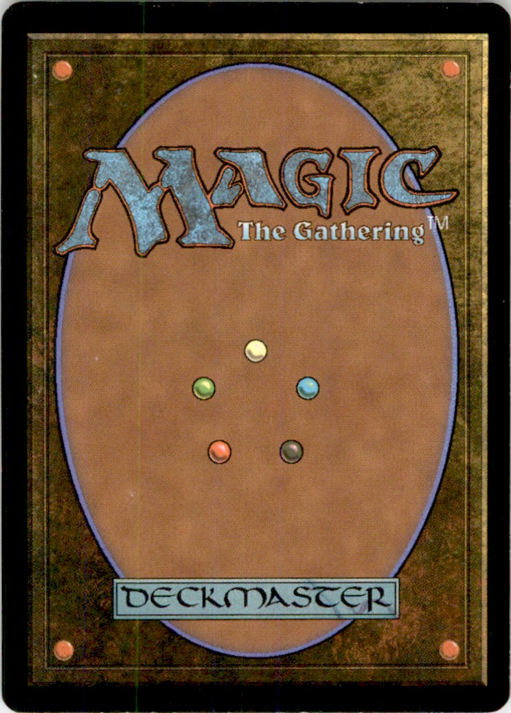 2001 MTG Odyssey Barbarian Ring #313 card back image