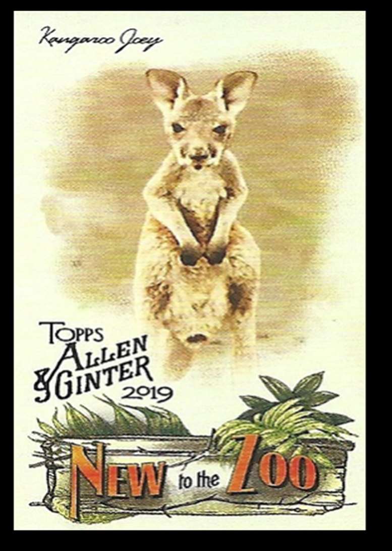 2019 Topps Allen And Ginter Mini New To The Zoo Kangaroo Joey #NTTZ-13