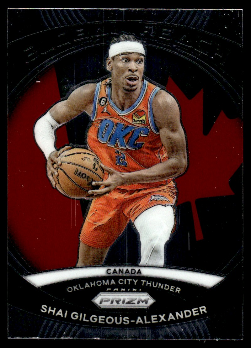 45bc6a685c08413d9df56bc6feaf2b