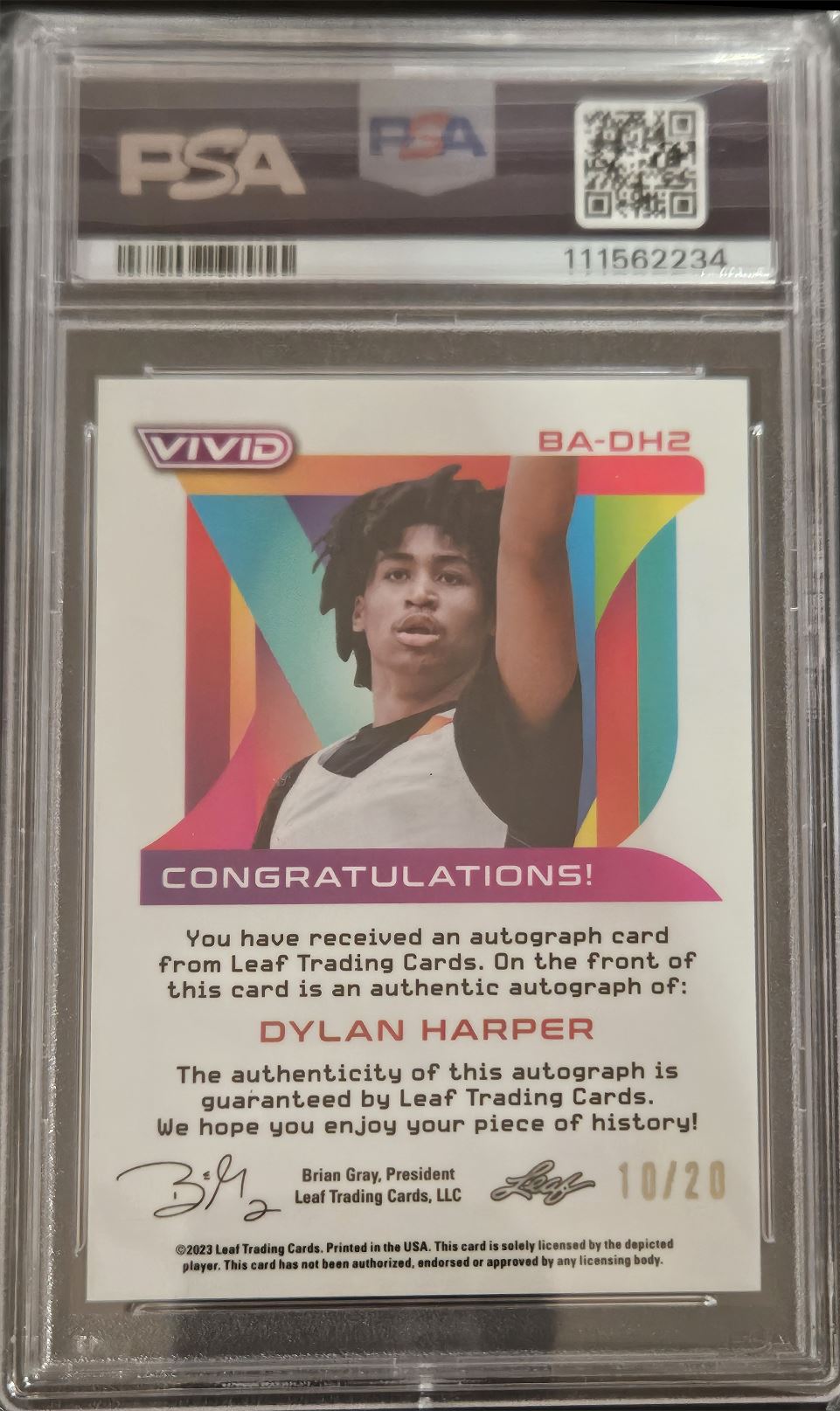 2022-23 Leaf Dylan Harper card back image