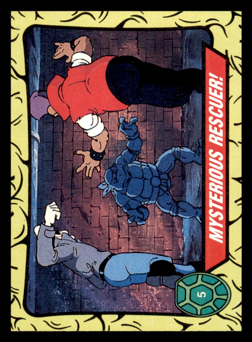 Picture 6 of 98