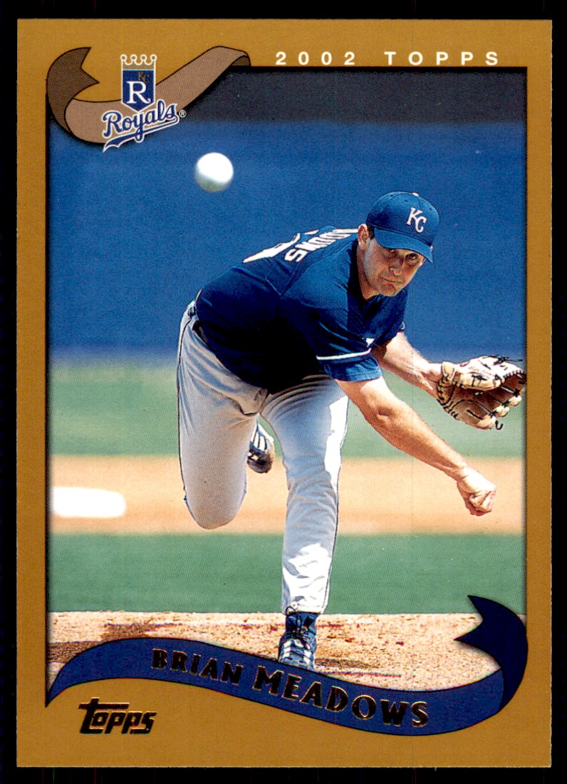 2002 Topps Baseball Card Brian Meadows A Baseball Cards #53