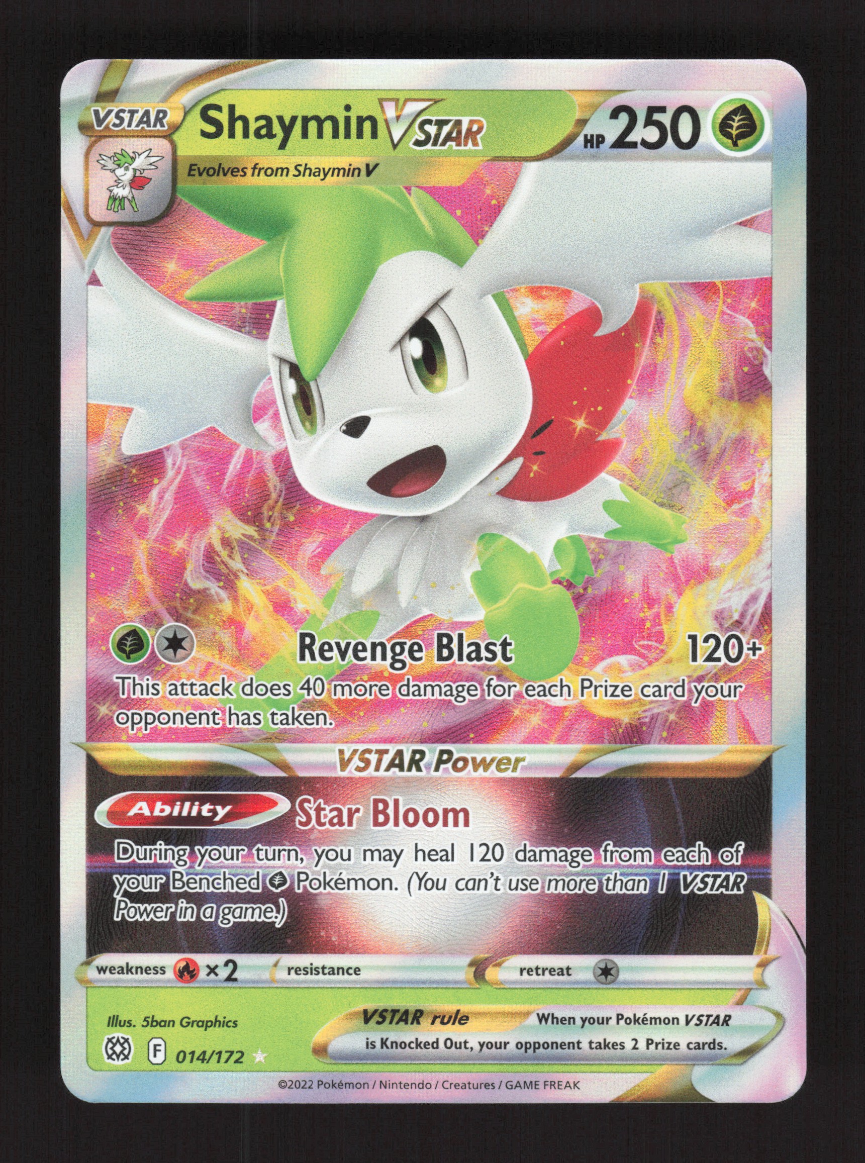 yugioh duelist of the roses card list Anybody remember the Immortal type from Duelist of the Roses? What if it  was an actual archtype? : r/customyugioh