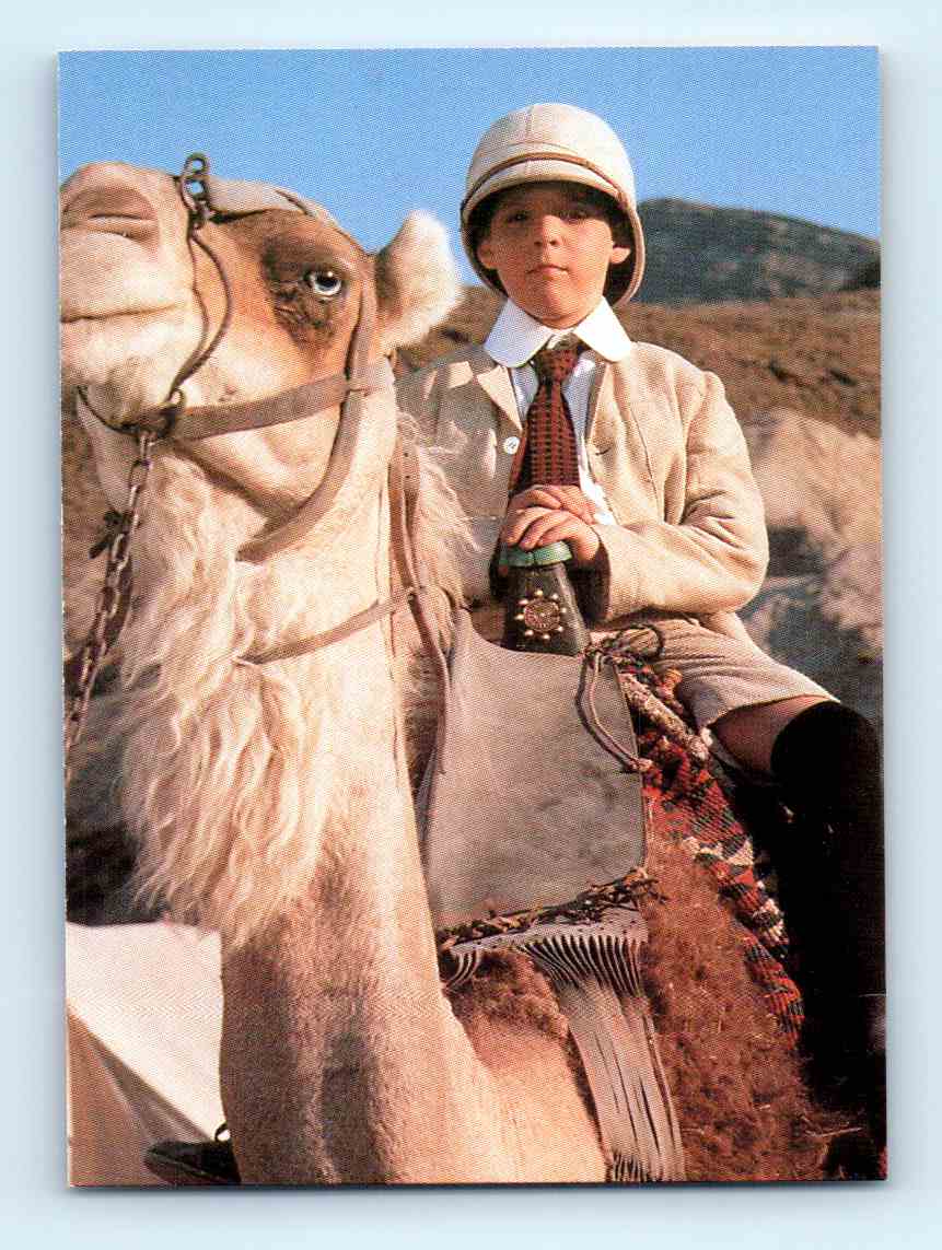 corey camel pow 12 corey camel pow 12