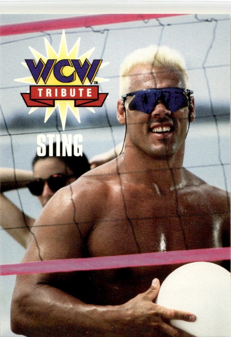 1995 Cardz WCW Main Event Sting #80 | eBay