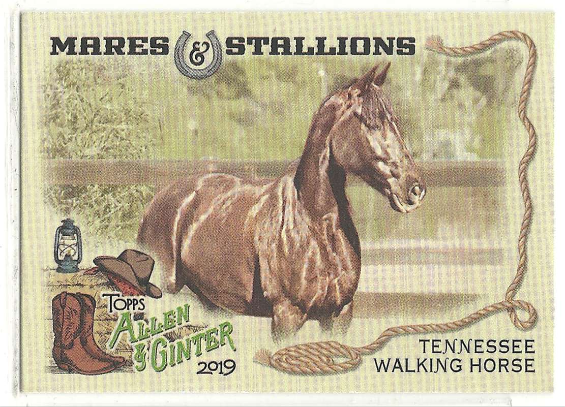 2019 Topps Allen And Ginter Mares & Stallions Tennessee Walking Horse #MS-4