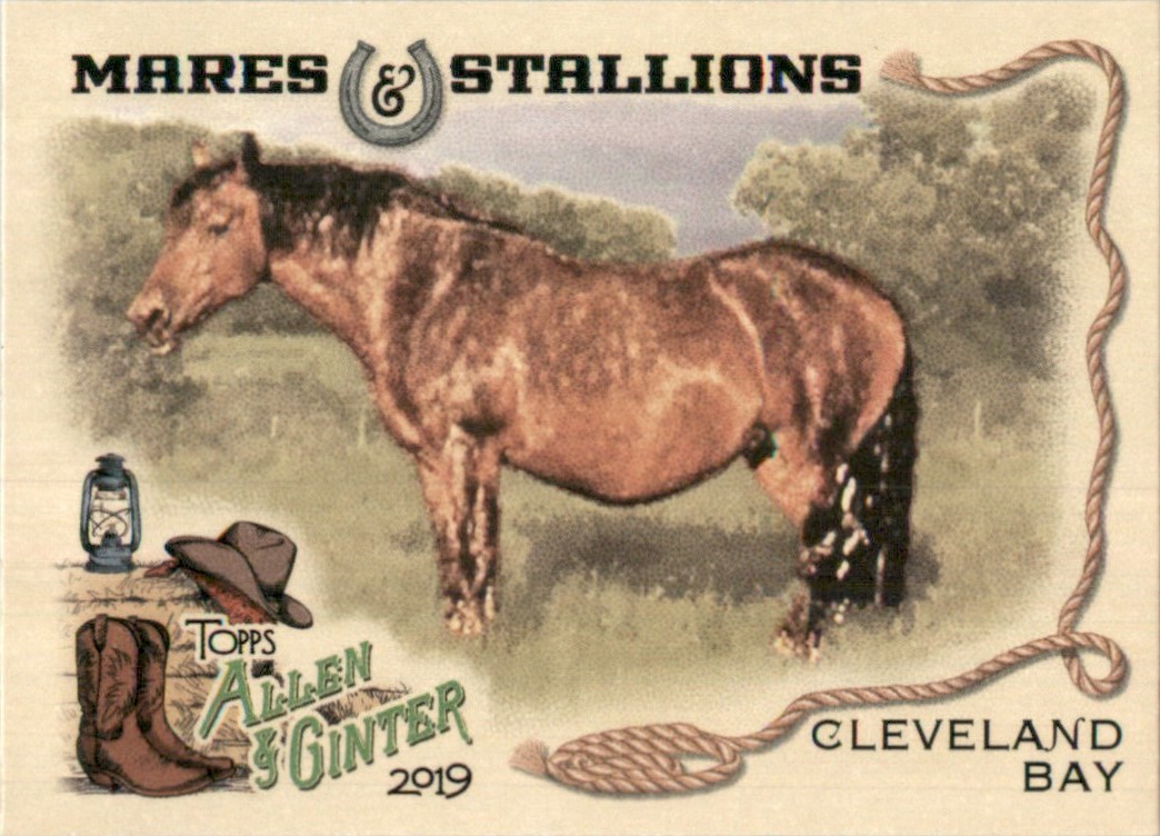 2019 Topps Allen & Ginter Mares Stallions Cleveland Bay Horse #MS-12